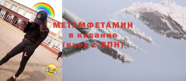 прущие грибы Елизово