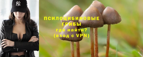 ПСИЛОЦИБИНОВЫЕ ГРИБЫ Алексеевка