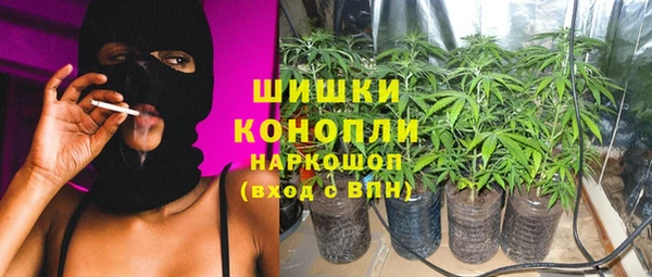 ПСИЛОЦИБИНОВЫЕ ГРИБЫ Алексеевка