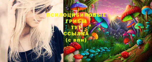 первитин Елабуга
