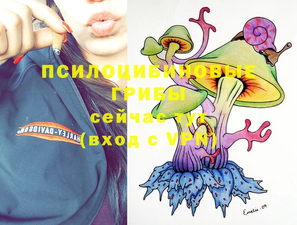 ECSTASY Абинск