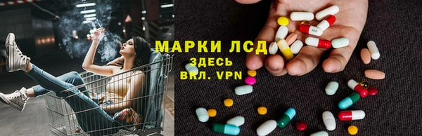 ПСИЛОЦИБИНОВЫЕ ГРИБЫ Алексеевка
