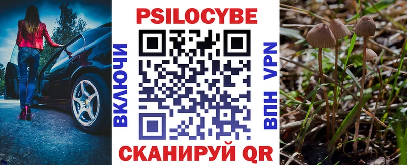 Галлюциногенные грибы Psilocybe Алатырь