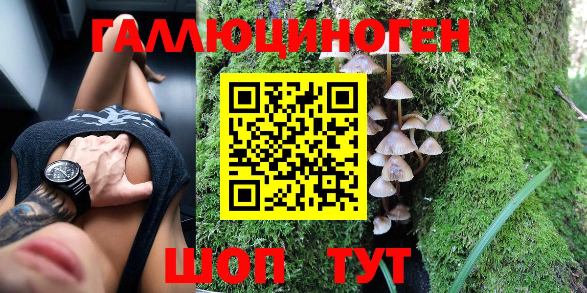 Галлюциногенные грибы ЛСД  Галлюциногенные грибы Psilocybe  Алатырь  Вход с VPN 