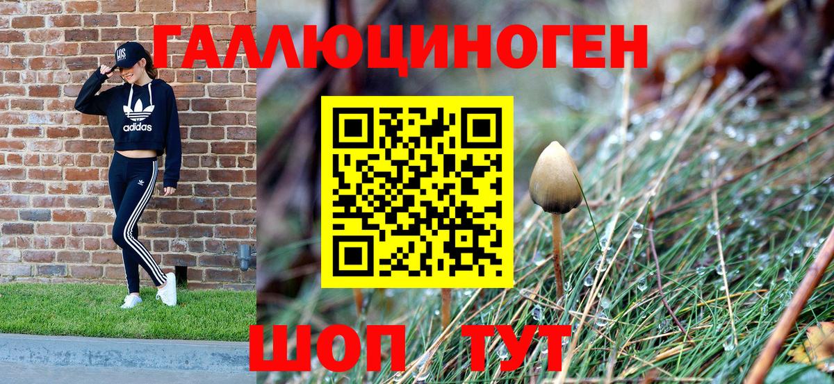 Галлюциногенные грибы Cubensis Алатырь